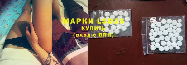 спайс Щигры