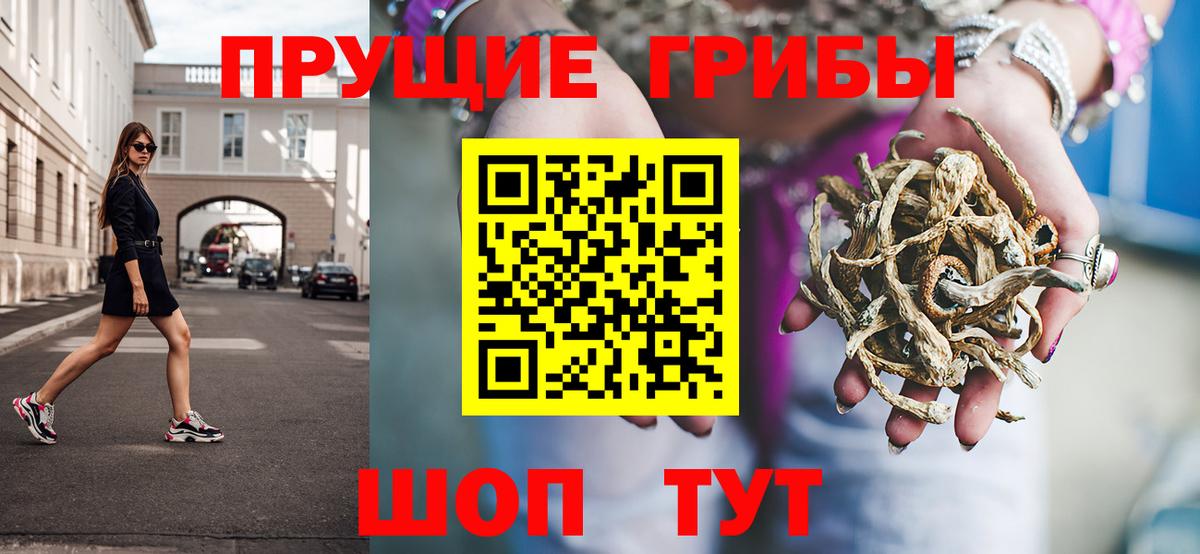 Галлюциногенные грибы Cubensis Волгоград