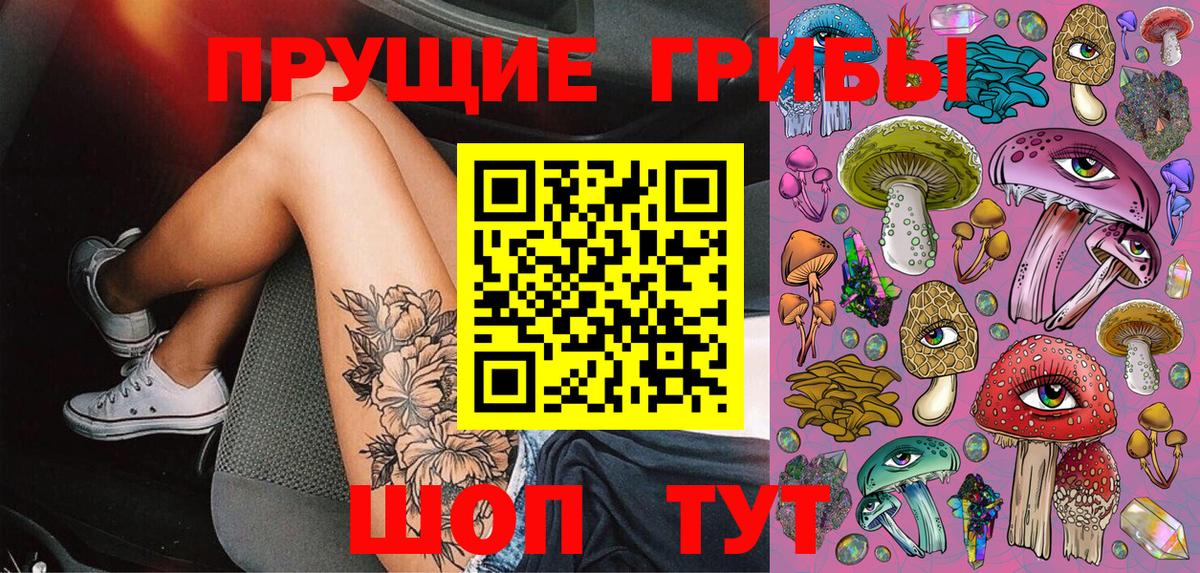 Волгоград  Галлюциногенные грибы Psilocybe  купить наркотик  Вход с VPN 
