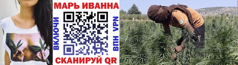 blacksprut ссылка  Волгоград  Бошки Шишки семена 